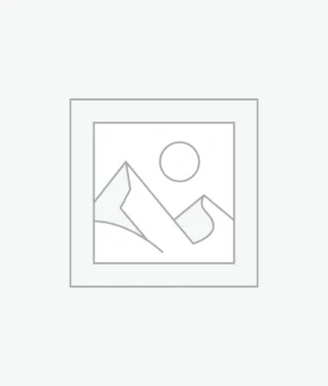 Uncategorized